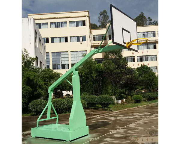 成功案例